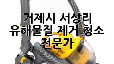 거제시 서상리 유해물질 제거 청소 전문가