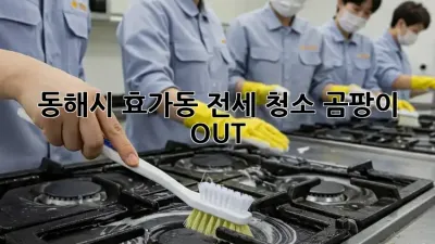 동해시 효가동 전세 청소🧹 곰팡이 OUT! 🏡✨